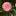 lechenie-travami.ru favicon