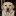leenora.ru favicon