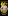 lfitness-group.ru favicon