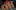 lili-ekb.ru favicon