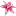 liliyans.ru favicon