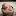lilykonoreva.ru favicon