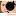 lizaphoto74.ru favicon