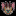 lostlight-of-atreia.ru favicon