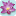 lotos-nsk.ru favicon