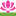 lotosy-v-astrahani.ru favicon