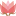 lotus-37.ru favicon
