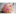 luxflower.ru favicon