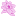 magnoliapetals.com favicon