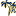 malibuvolley.ru favicon