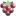 malinki-barnaul.ru favicon