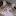 maolgen.ru favicon