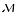 margoermolaeva.com favicon