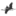market-book.ru favicon
