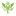 marketcraft.ru favicon
