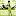 massage-info.ru favicon