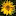 master-snt.ru favicon
