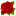 maxi-flowers.ru favicon