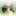 mcoon-club.ru favicon