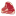 meat24.ru favicon
