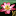 medgrasses.ru favicon