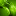 megalam.ru favicon