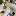 mekhanastasia.ru favicon