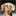 mi-esperanza.com favicon