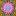 microbiomsu.ru favicon