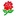 million-roz.kz favicon