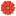 milo-flowers.ru favicon