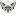 mimikotik.ru favicon