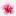 mircvetov-nt.ru favicon
