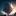 mirneyroseti.ru favicon