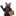 mishkiny-gostincy.ru favicon