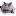 miskis.ru favicon
