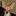 more-tours.ru favicon