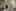 moscmebel.ru favicon