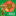 mosturkmenkult.ru favicon