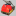 moto-sobaki.ru favicon