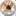 motoshkolaktm.ru favicon