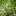 mptprogram.ru favicon
