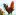 ms-prostranstvo-krasivyh-lyudej.ru favicon