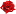 msk-flower.ru favicon
