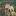 museumchur.ru favicon