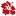 my-present.ru favicon
