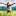 myaltynaj.ru favicon