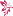 myflowers-store.ru favicon