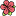 myfreelife.ru favicon