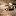 myphotostyle.ru favicon